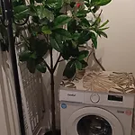 Apartament Il Sogno Di Elisa -romantico Nel Centro Di