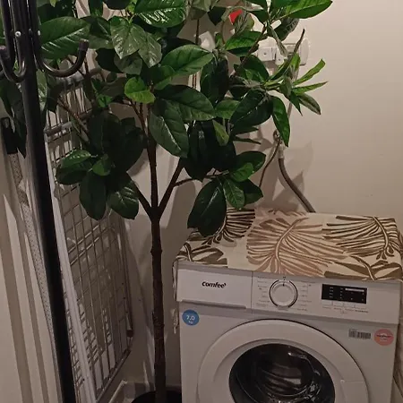 アパート Il Sogno Di Elisa -romantico Nel Centro Di