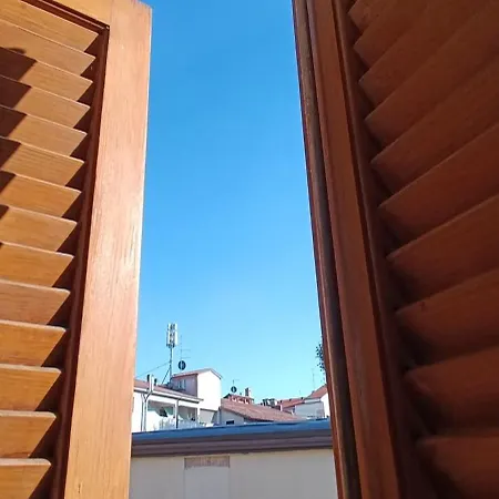 Il Sogno Di Elisa *